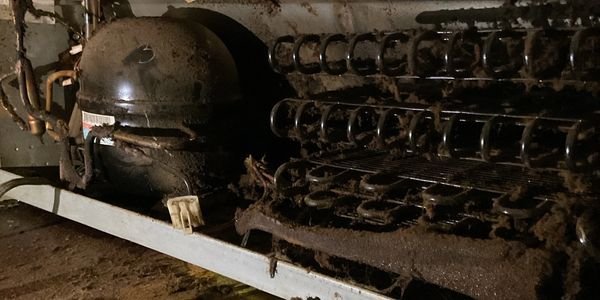 Open dishwasher - add-on cleaning and maintenance services